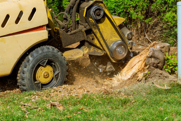 Landscape Design and Installation in Dillon, MT